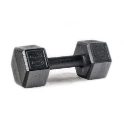 SPARTAN Hex Steel Dumbbell -Spartan PDP Main Size 10