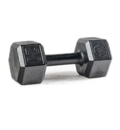 SPARTAN Hex Steel Dumbbell -Spartan PDP Main Size 20