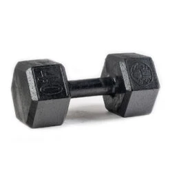 SPARTAN Hex Steel Dumbbell -Spartan PDP Main Size 40