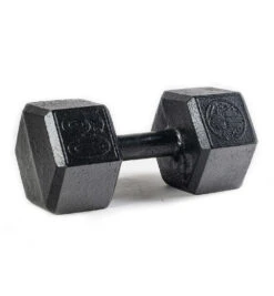 SPARTAN Hex Steel Dumbbell -Spartan PDP Main Size 60