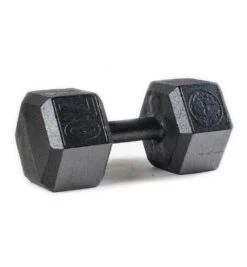 SPARTAN Hex Steel Dumbbell -Spartan PDP Main Size 70